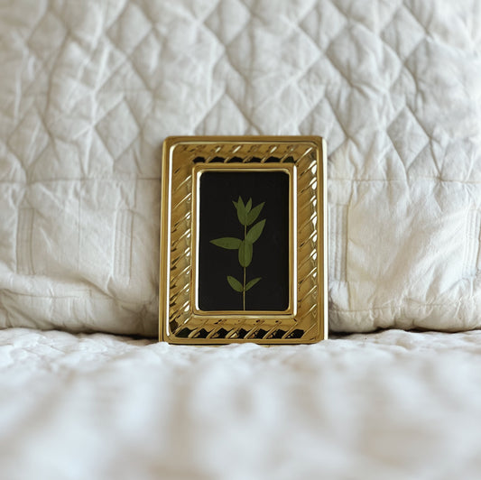 Parvifolia Eucalyptus Leaf in Vintage/Thrifted Brass Frame