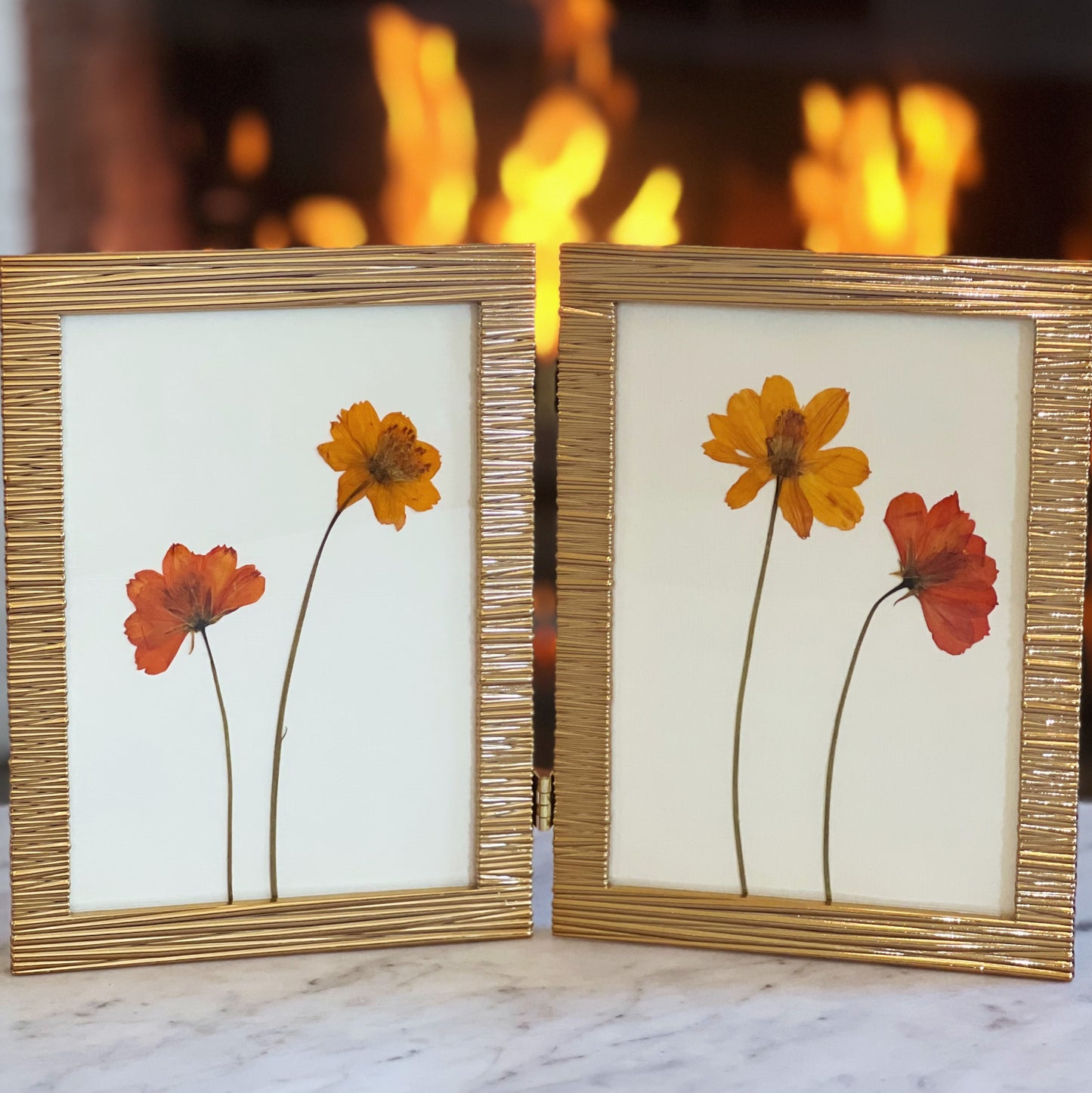 Cosmos in a Gold Bifold Frame