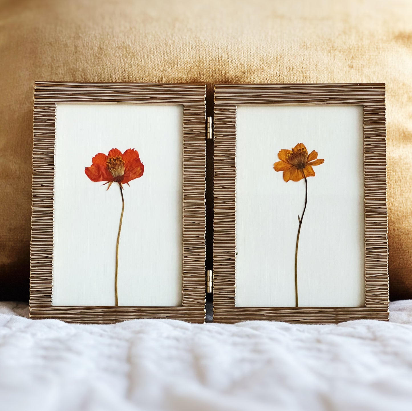 Cosmos in a Gold Bifold Frame