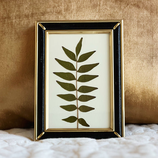 Green Leaf in a Black and Gold Thrifted Frame