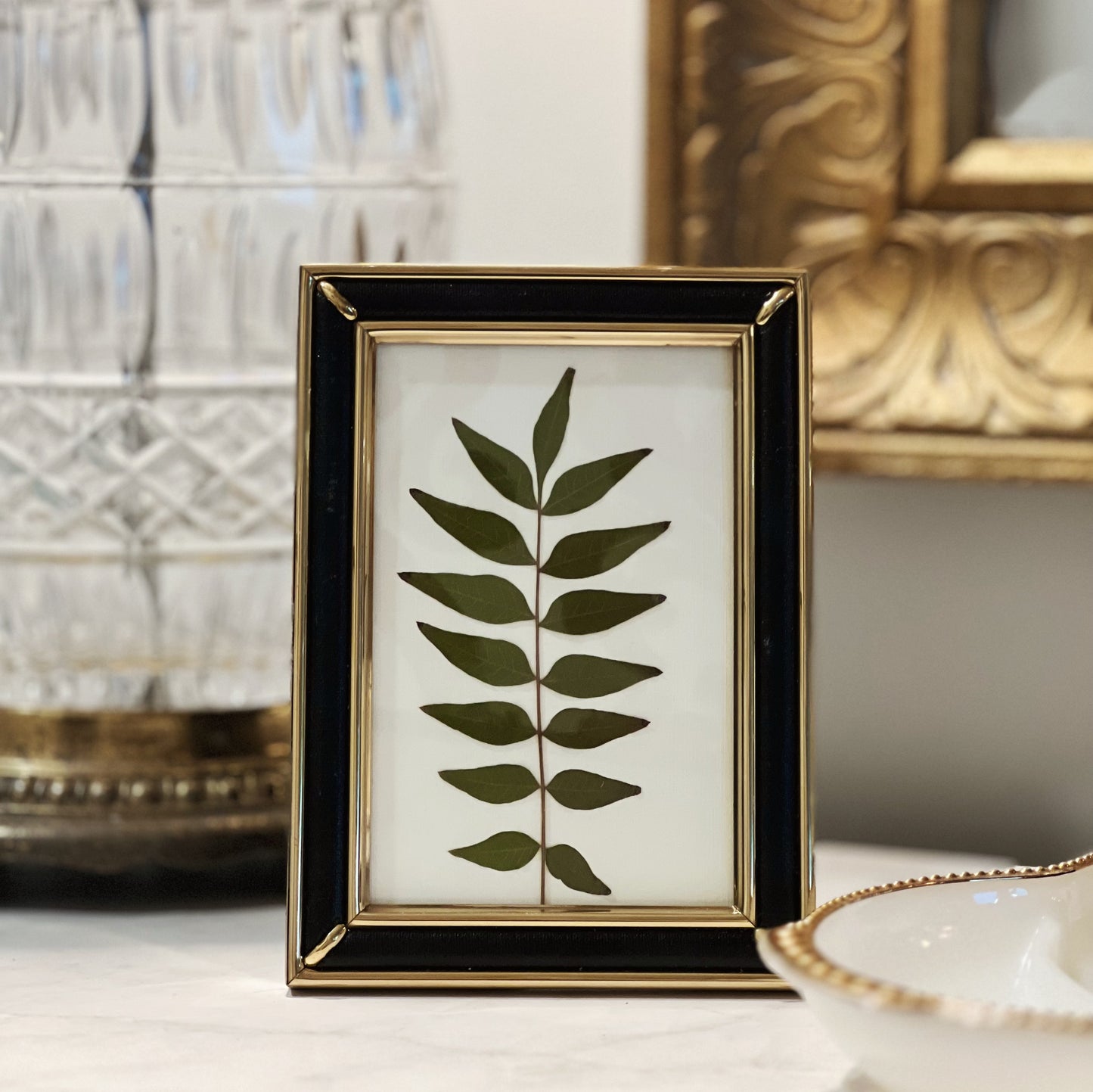 Green Leaf in a Black and Gold Thrifted Frame