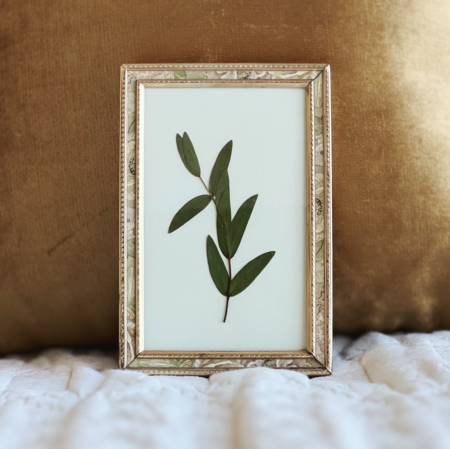 Parvifolia Eucalyptus Leaf in a Vintage/Antique Frame