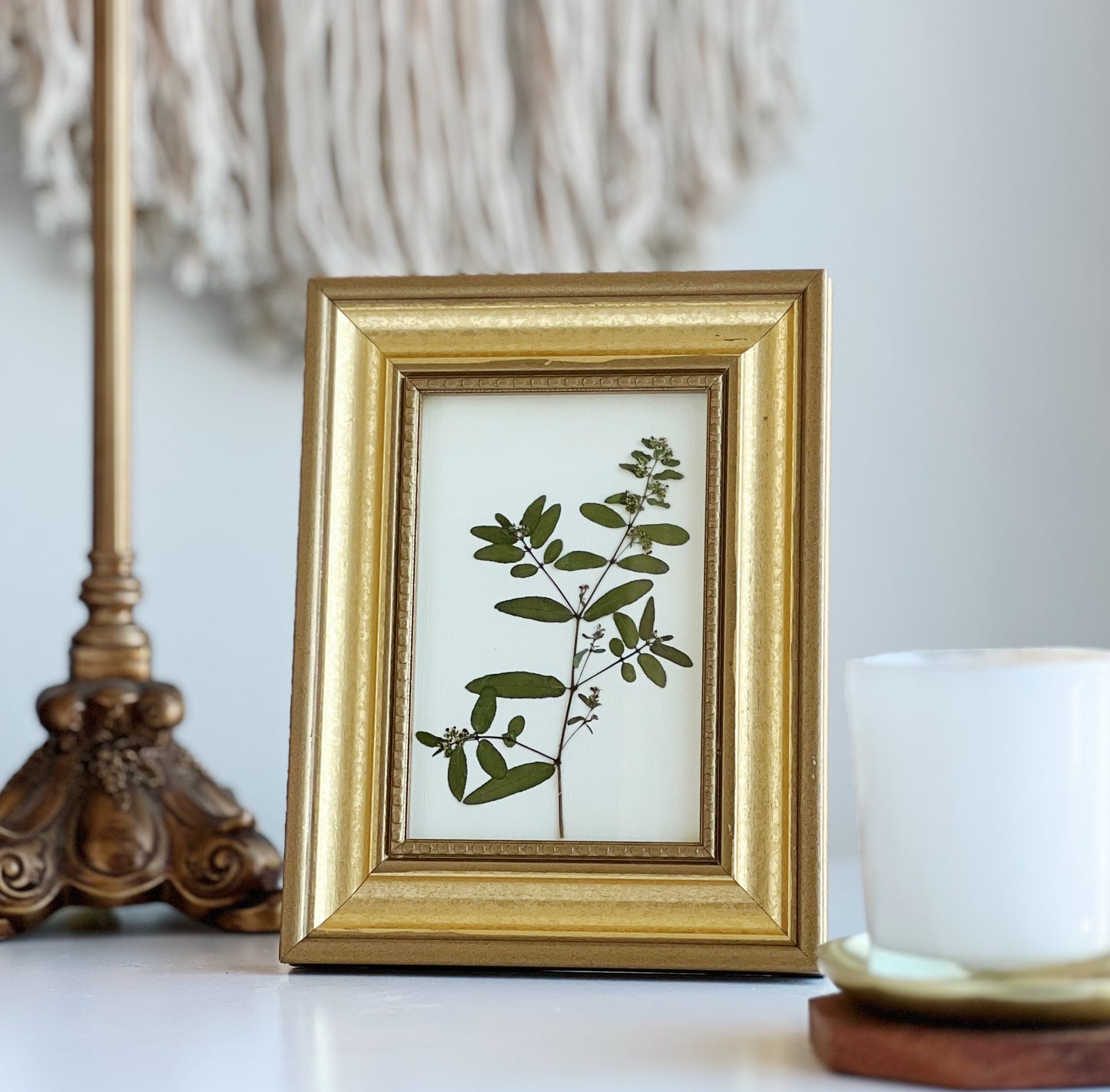 Nodding Spurge in Vintage/Thrifted Gold Frame