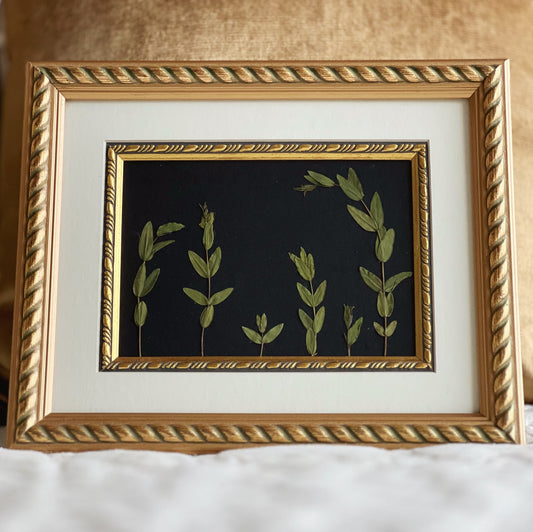 Eucalyptus Leaves in Vintage Frame