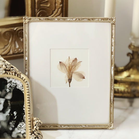 White Alstroemeria Flower in Vintage Gold Frame