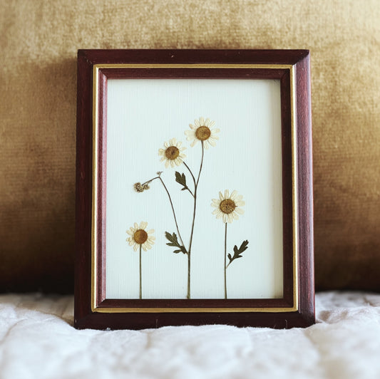 Feverfew Flowers in a Vintage/Thrifted Frame