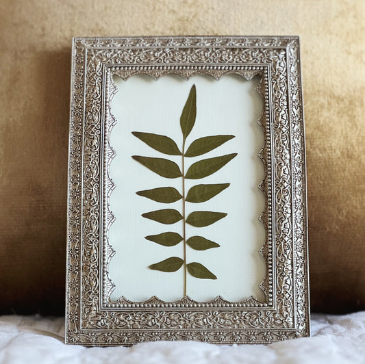 Green Leaf in a Thrifted Frame