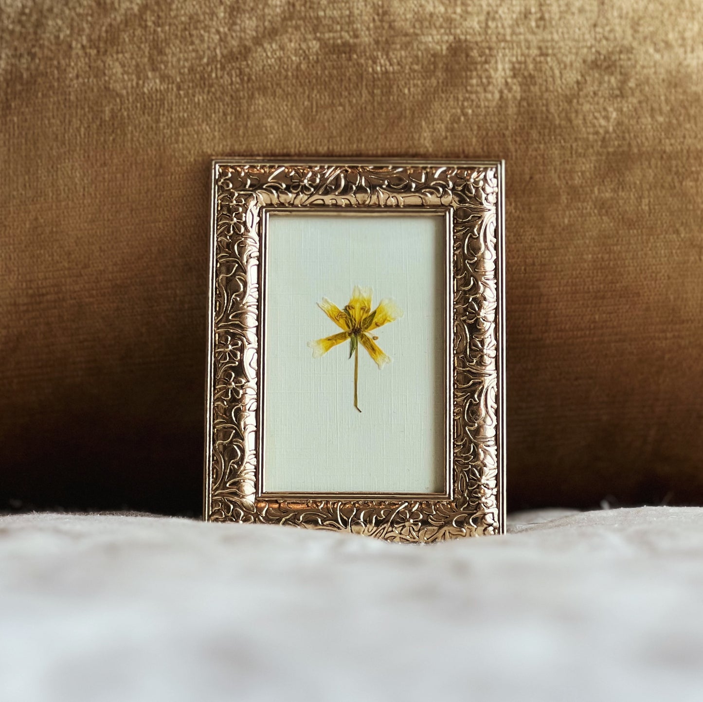 Yellow Flower in a Small Gold Frame