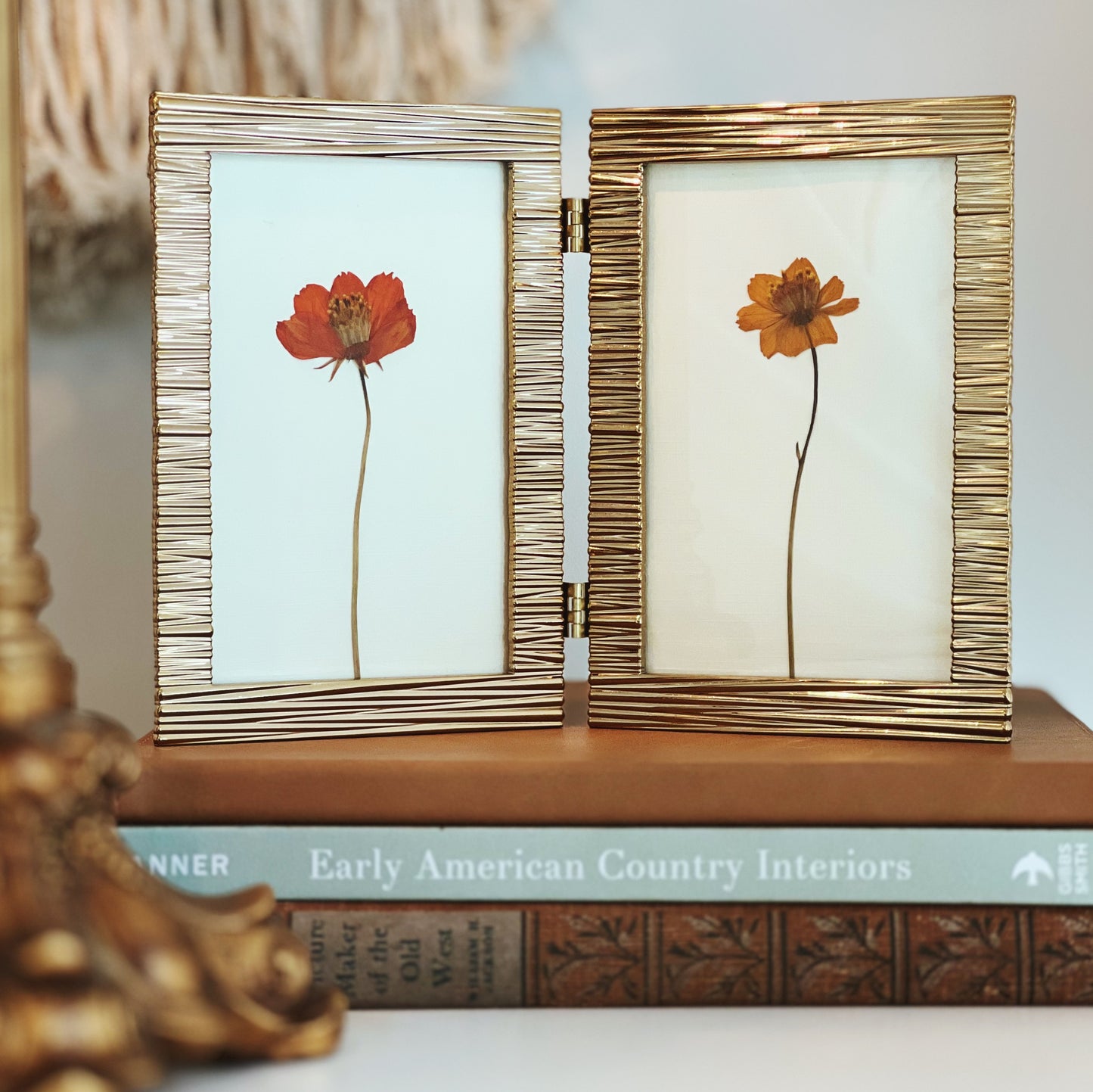 Cosmos in a Gold Bifold Frame