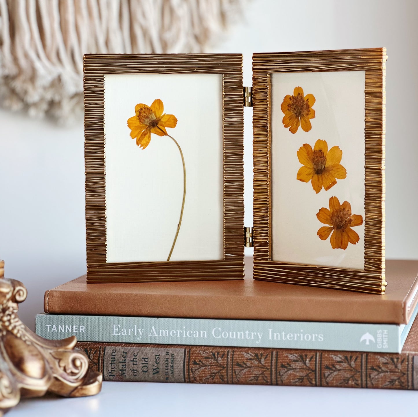 Cosmos in Bifold Gold Frame