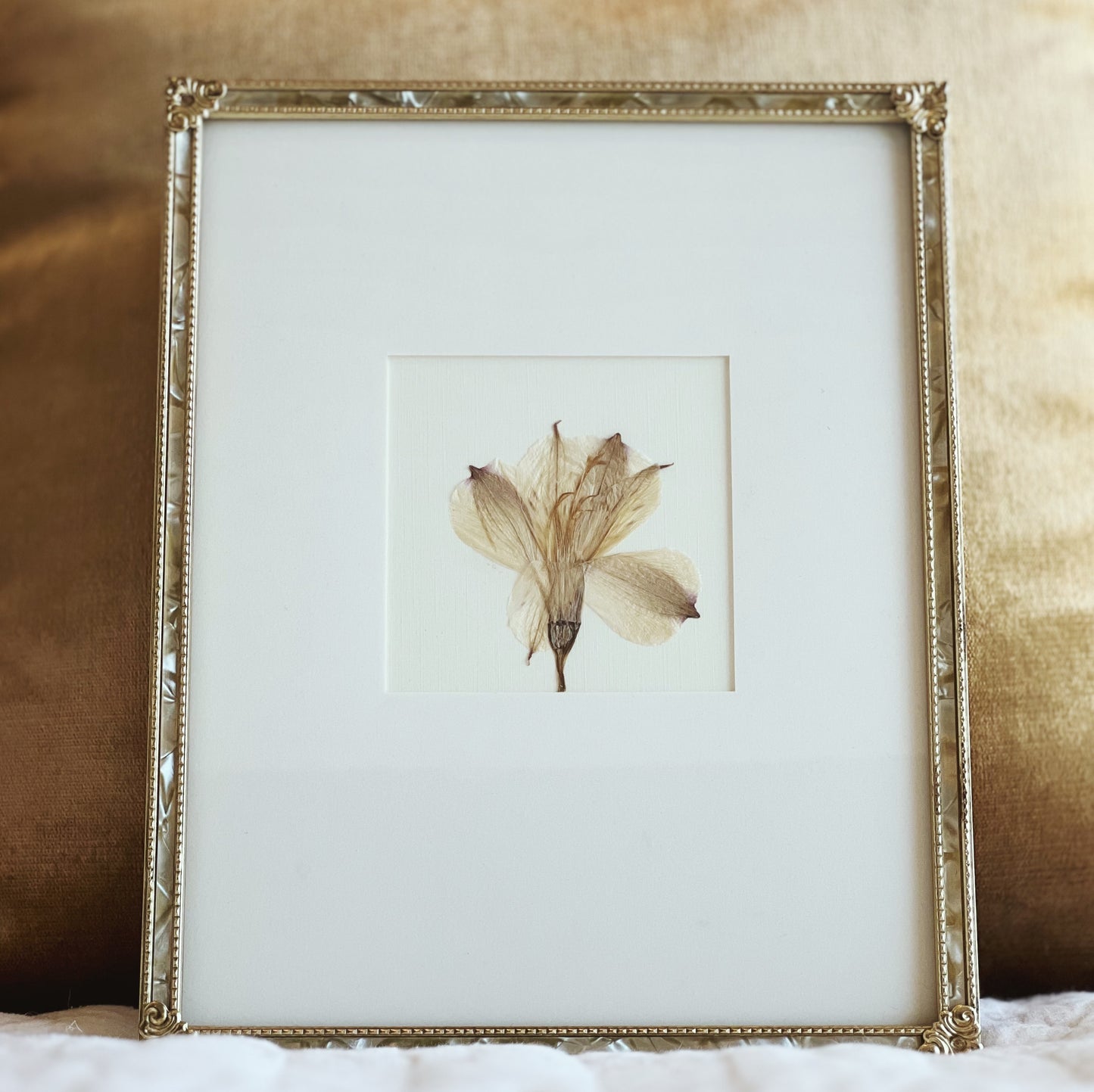 White Alstroemeria Flower in Vintage Gold Frame