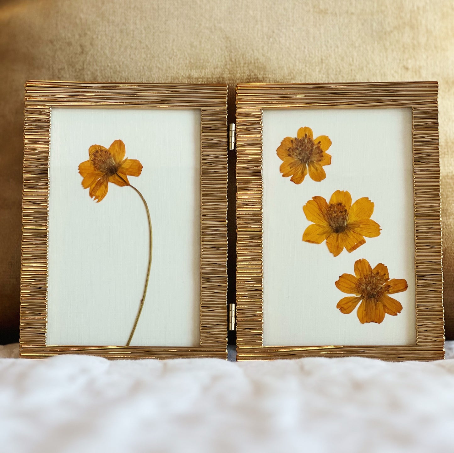 Cosmos in Bifold Gold Frame