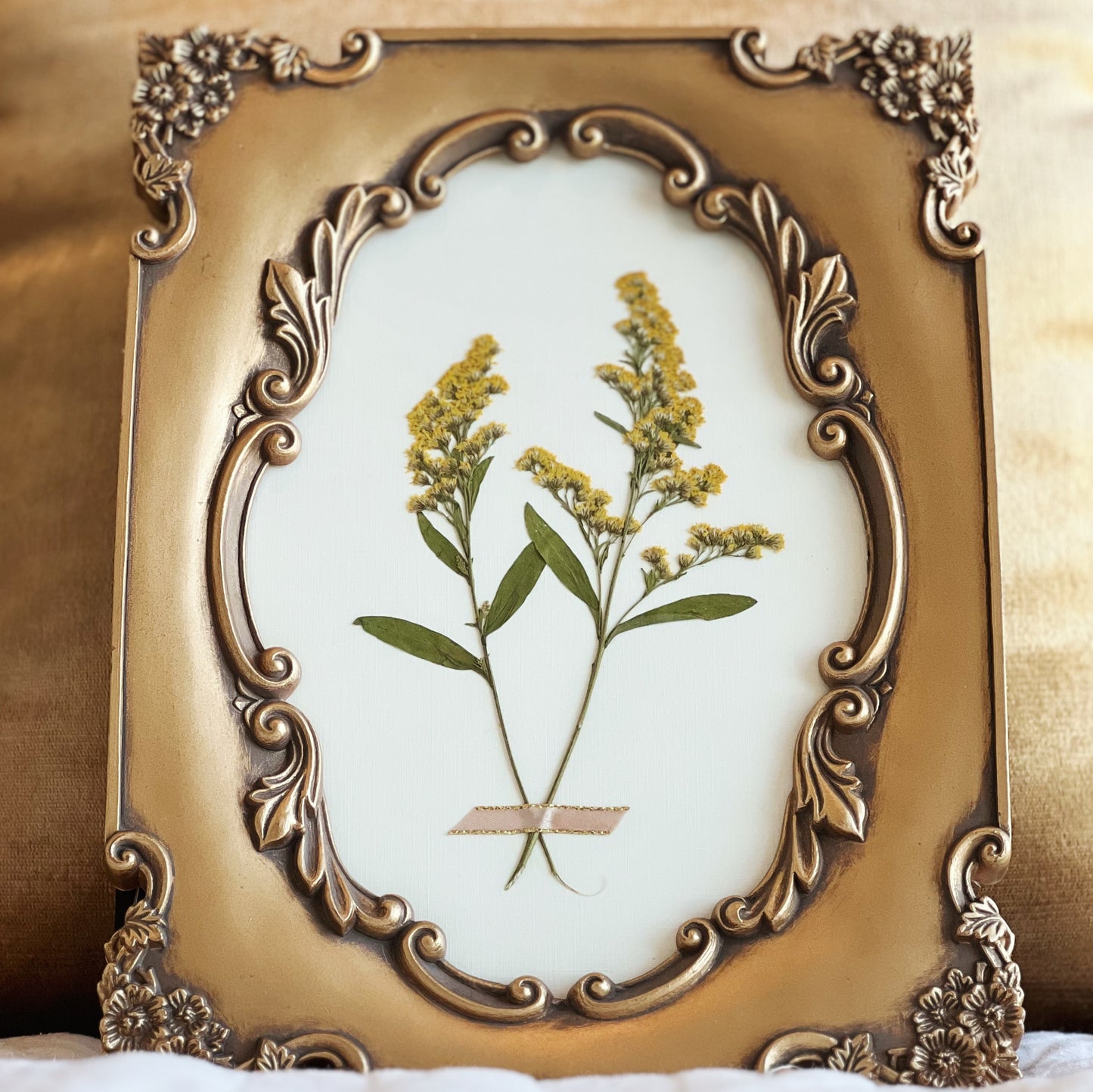 Solidago in a Gold Thrifted/Vintage Frame