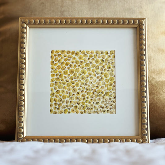 Yellow Baby's Breath in Gold Frame