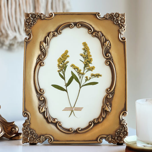 Solidago in a Gold Thrifted/Vintage Frame