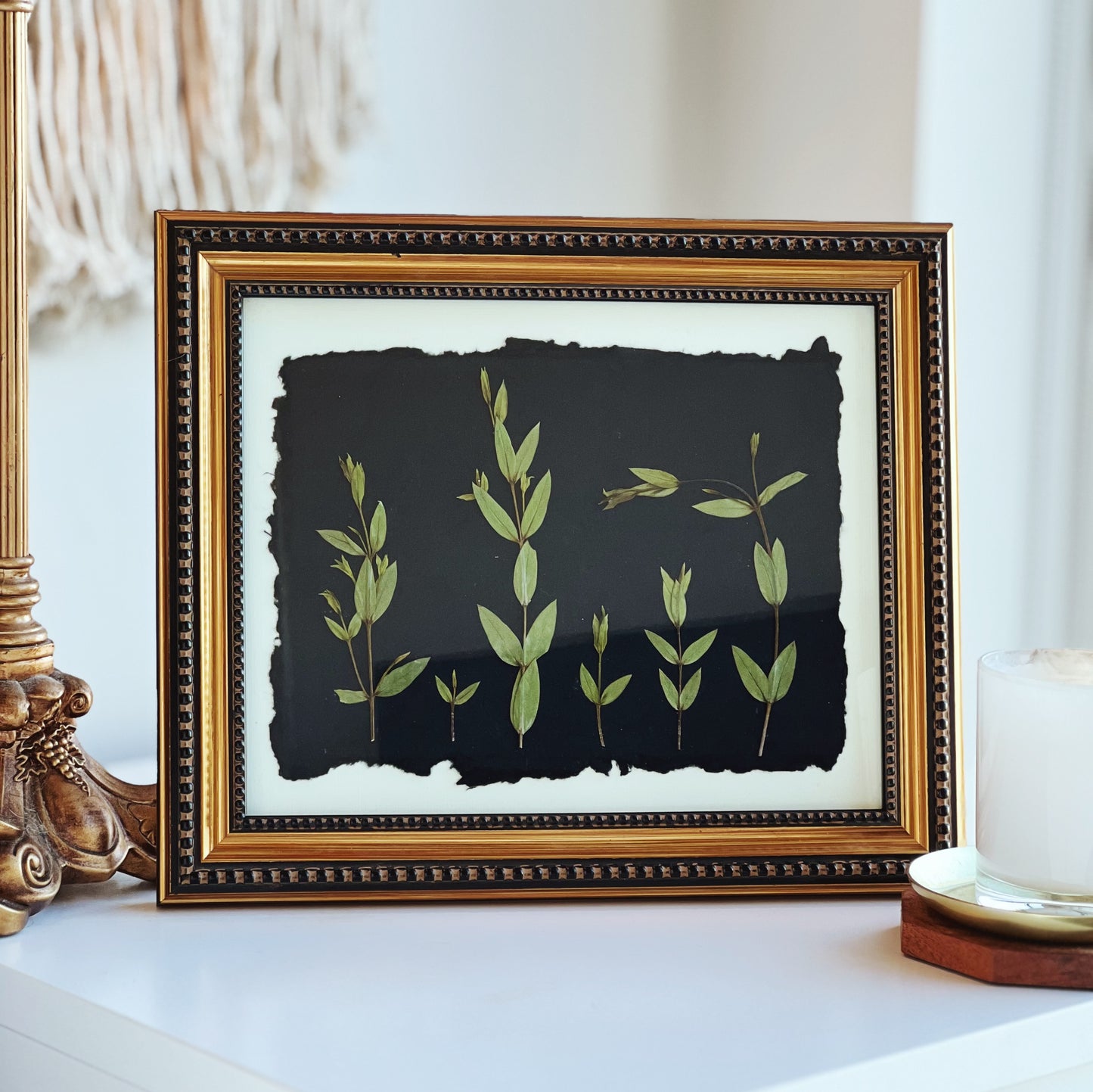 Parvifolia Eucalyptus Leaves in a Vintage/Thrifted Black and Gold Frame