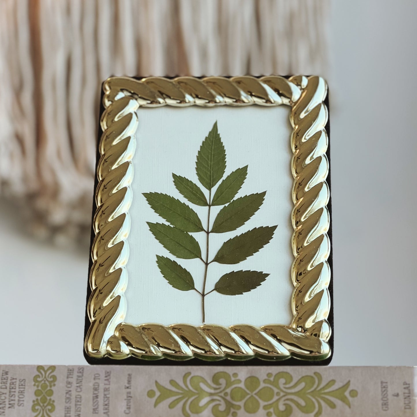 Tecoma Leaf in a Gold Thrifted/Vintage Frame