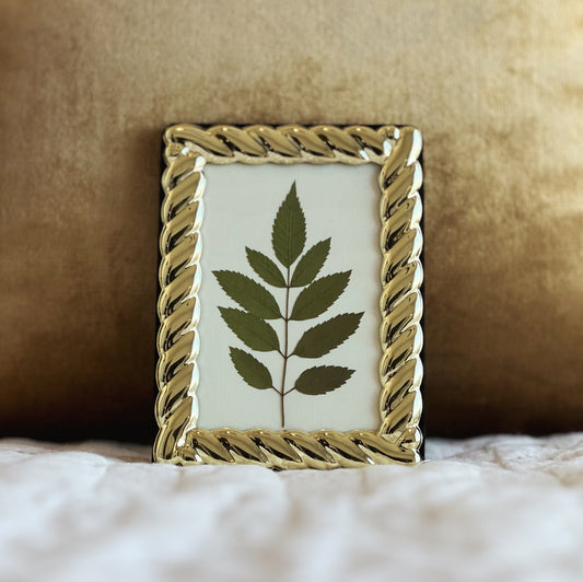 Tecoma Leaf in a Gold Thrifted/Vintage Frame