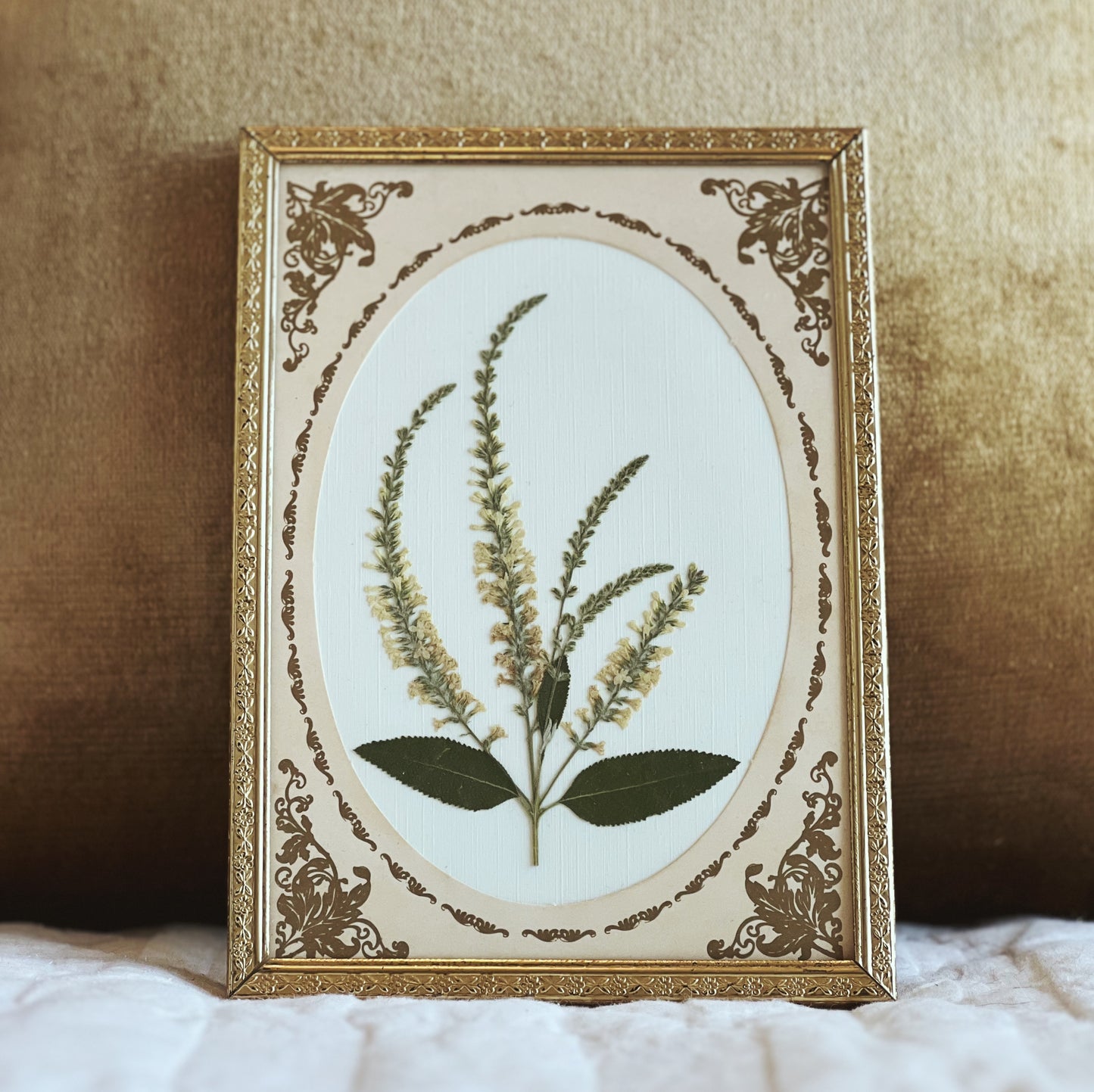 Sweet Almond in an Antique Gold Frame